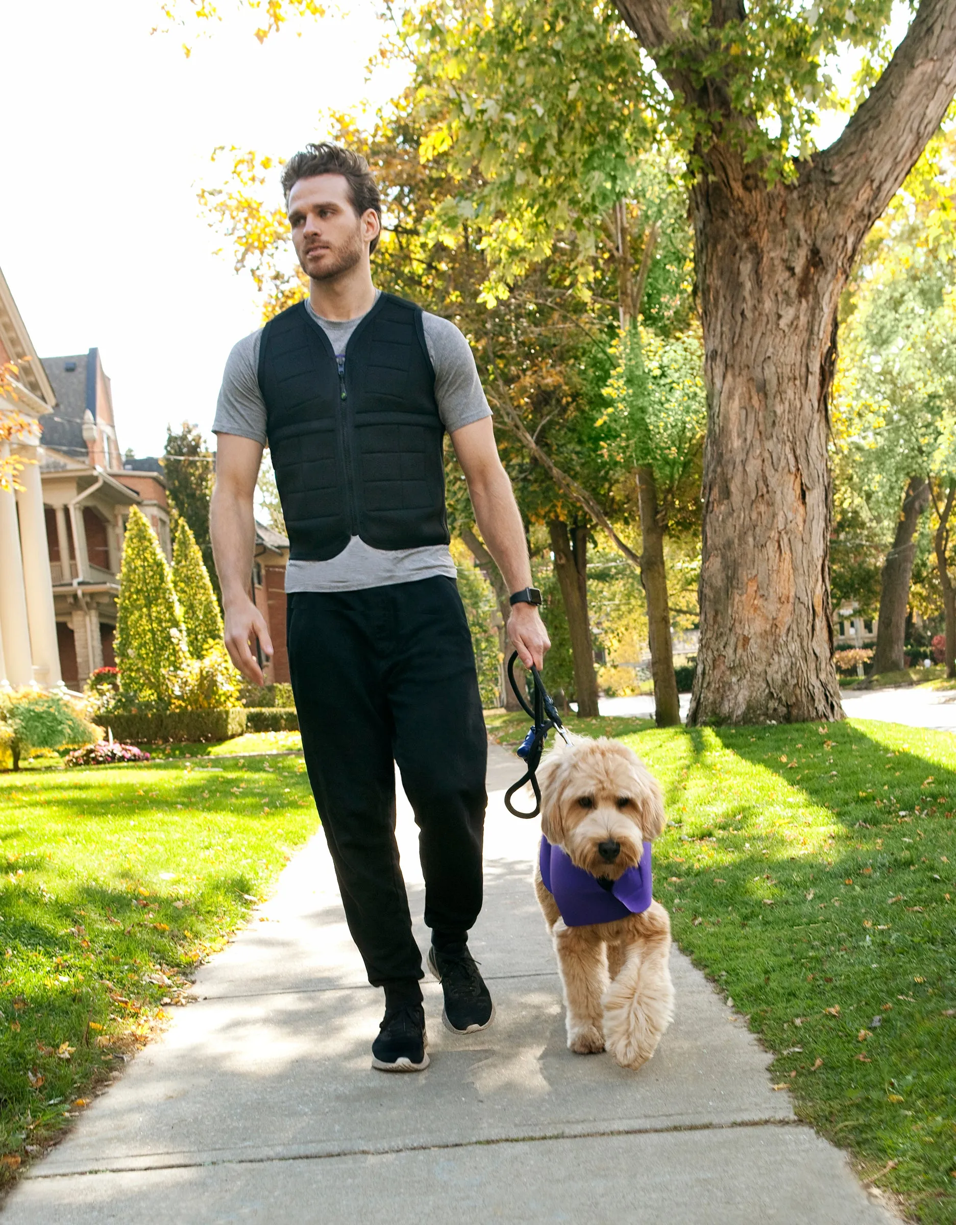Power Wearhouse Power Weighted Vest , Medium (38.5" - 40.5")